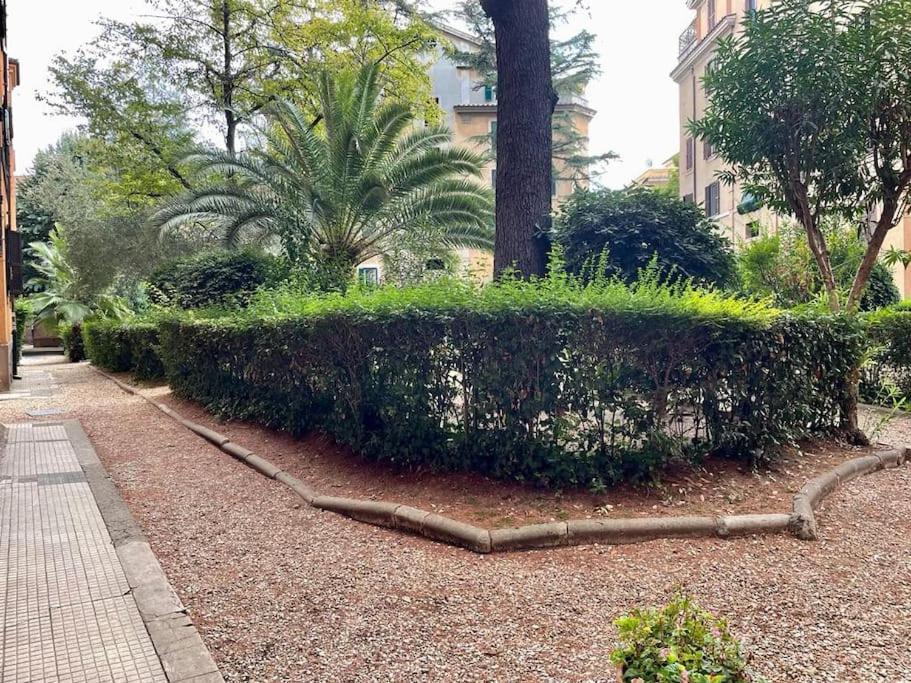New - Comfortable Apt Porta Latina Ρώμη Εξωτερικό φωτογραφία